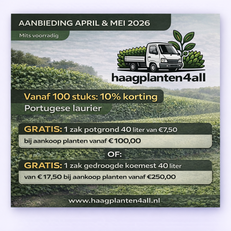 Aanbieding maart 2026