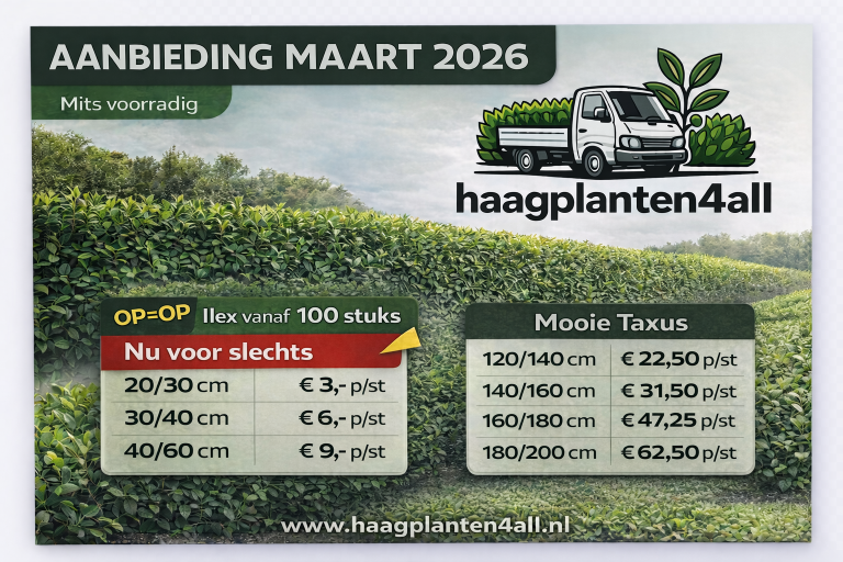 Aanbieding maart 2026